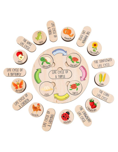 Juguete Educativo de Ciclo de Vida KidSweeties 3-6 años