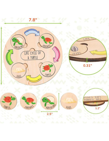 Juguete Educativo de Ciclo de Vida KidSweeties 3-6 años