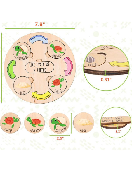 Juguete Educativo de Ciclo de Vida KidSweeties 3-6 años