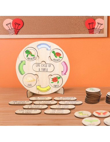 Juguete Educativo de Ciclo de Vida KidSweeties 3-6 años