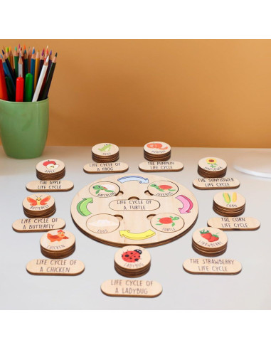 Juguete Educativo de Ciclo de Vida KidSweeties 3-6 años