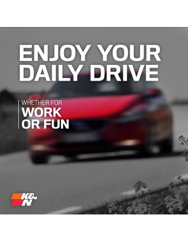 Filtro de Aire K&N 33-2435 Lavable para Lexus/Mitsubishi/Toyota