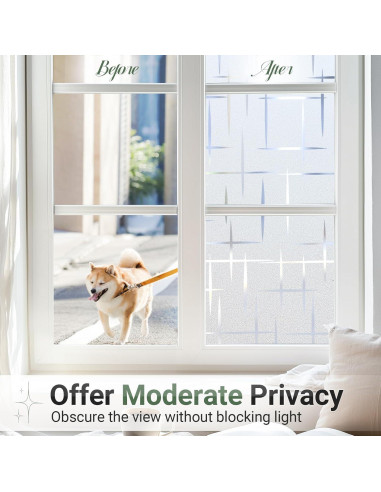 Película de Privacidad Rabbitgoo 44.5x200 cm Vinilo UV