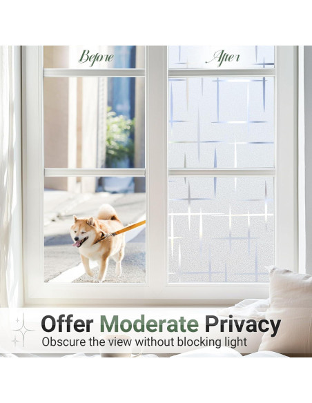 Película de Privacidad Rabbitgoo 44.5x200 cm Vinilo UV