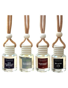 Paquete de 4 Ambientadores de Coche The Blooming Cactus 8 ml