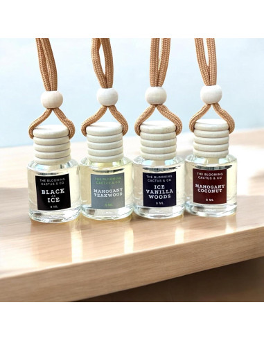 Paquete de 4 Ambientadores de Coche The Blooming Cactus 8 ml
