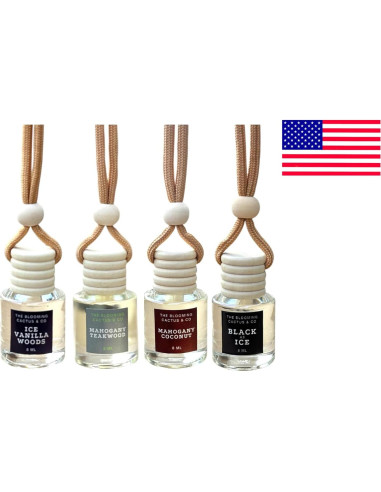 Paquete de 4 Ambientadores de Coche The Blooming Cactus 8 ml