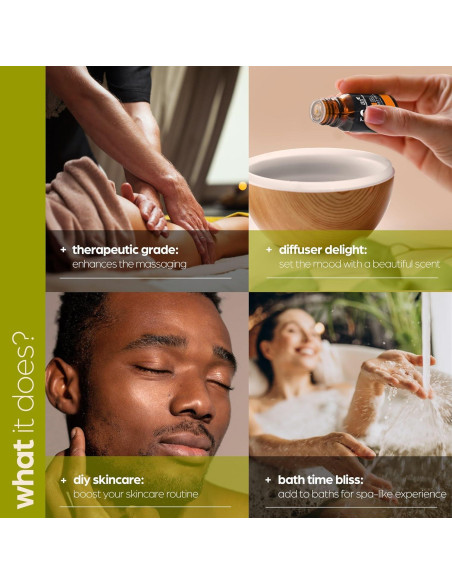 Conjunto de Aceites Esenciales ArtNaturals 6x10ml Puro Terapéutico