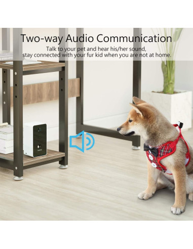 Dispensador de golosinas para mascotas Iseebiz con cámara 1080P