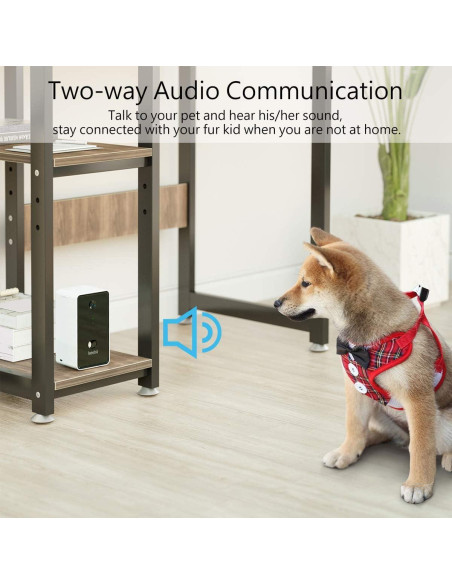 Dispensador de golosinas para mascotas Iseebiz con cámara 1080P