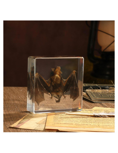 Murciélago de Taxidermia en Resina Pokiphip 10.8x9.8 cm