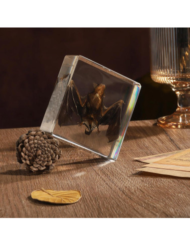 Murciélago de Taxidermia en Resina Pokiphip 10.8x9.8 cm