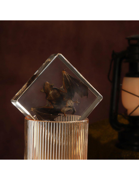 Murciélago de Taxidermia en Resina Pokiphip 10.8x9.8 cm