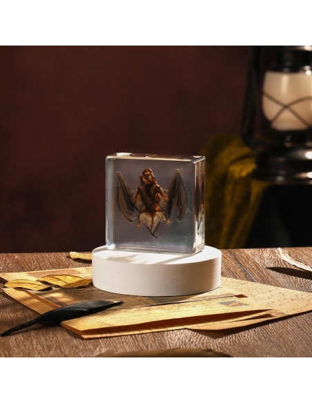 Murciélago de Taxidermia en Resina Pokiphip 10.8x9.8 cm