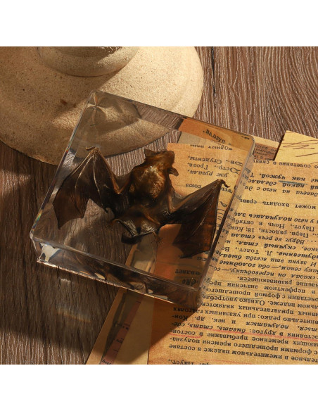Murciélago de Taxidermia en Resina Pokiphip 10.8x9.8 cm