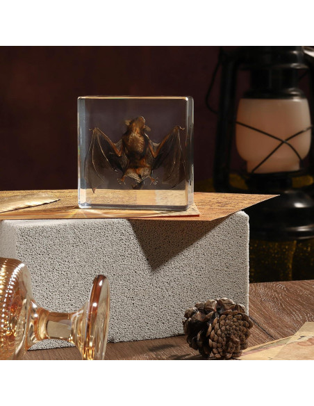 Murciélago de Taxidermia en Resina Pokiphip 10.8x9.8 cm
