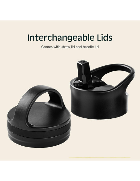 Botella de Agua Aislada Retrospec Alder 22 oz Doble Pared