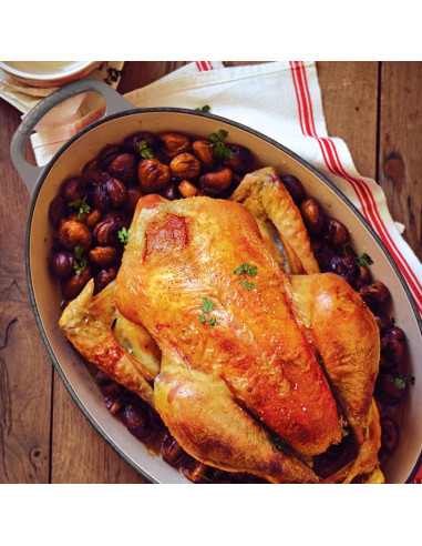 Olla Holandesa Ovalada Le Creuset 8 Cuartos Hierro Fundido Esmaltado