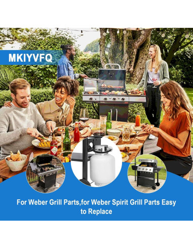 Kit de Manguera y Regulador Sekvira para Parrillas Weber