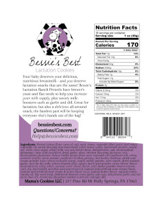 Pretzels de Lactancia Bessie Sabor Ranch 0.45 kg 2