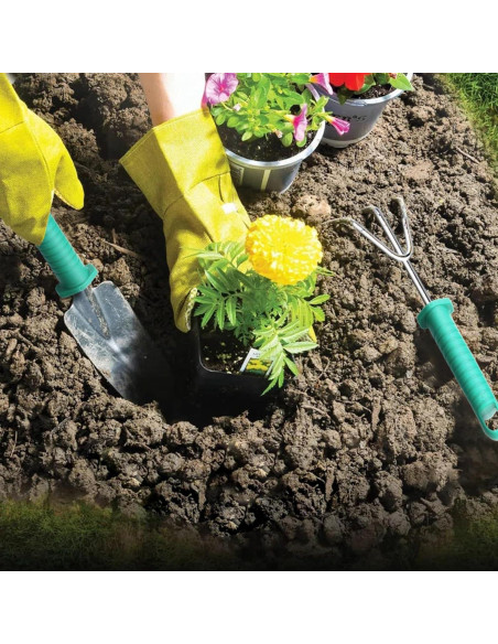 Juego de Herramientas de Jardinería 10 Piezas - Genérico