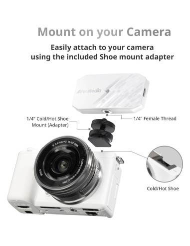 Tarjeta de Captura HDMI AVerMedia CamStream 4K BU113G2