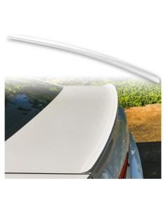 Alerón de Maletero FYRALIP para Toyota Camry XV30 2001-2006 Plata