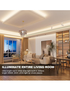 Tira LED 5m RGH LIGHTING 300 LEDs 3000K Regulable con Control Remoto 2