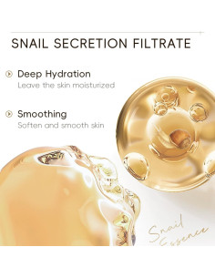 Kit de Cuidado de Piel Coreano Evolvique 5PCS Hidratante 2