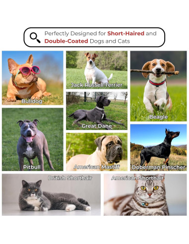 Kit de Aseo de Madera ENUKYCOM para Perros y Gatos Pelo Corto