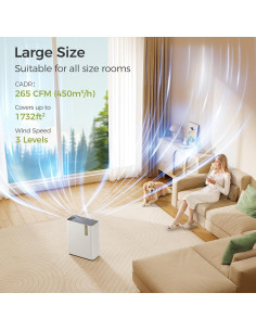 Purificador de Aire Dhyala KJ01 con Humidificador 100mL Blanco 2