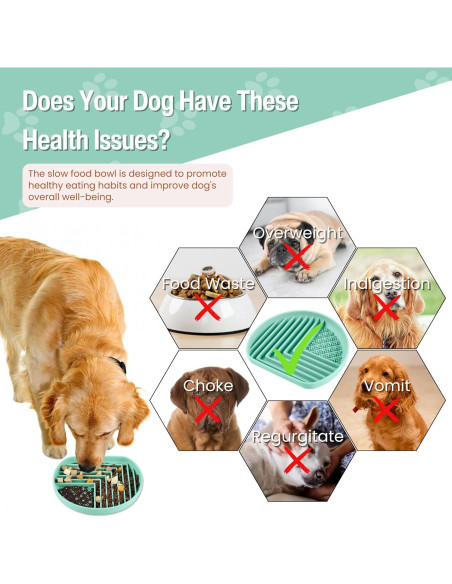 Cuenco de Alimentación Lenta para Perros Nothomme 18cm Verde