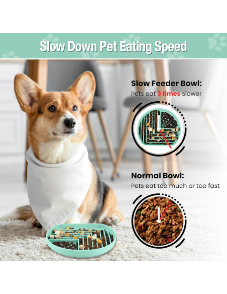 Cuenco de Alimentación Lenta para Perros Nothomme 18cm Verde