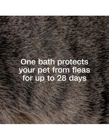 Champú Adams Plus para Pulgas y Garrapatas 340g - Piel Sensible