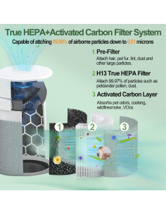 Filtro de Reemplazo HEPA 211i Max GRN FIL - 2 Pack 2