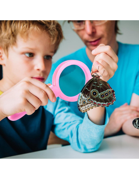 12 Lupas de Mano para Niños Saysurey 3.5x Irrompibles