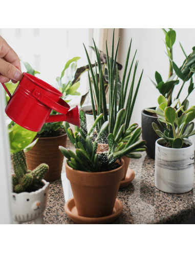 2 Regaderas de Metal para Niños Toddmomy - 15x7.5cm Rojo