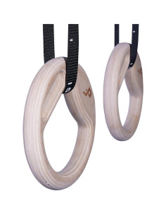 Anillas de Gimnasia Dangerously Fit con Hangboard Integrado 2