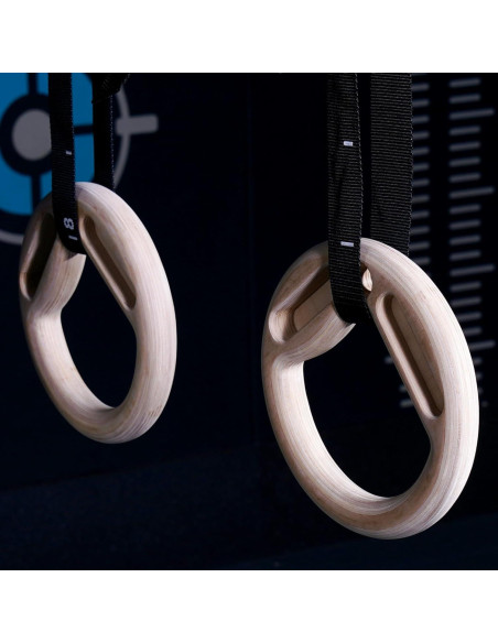 Anillas de Gimnasia Dangerously Fit con Hangboard Integrado