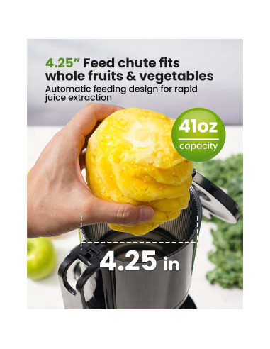 Extractor de Jugo Masticador GDOR SJ060 Plata 1.18 kg 120V