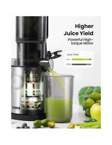 Extractor de Jugo Masticador GDOR SJ060 Plata 1.18 kg 120V