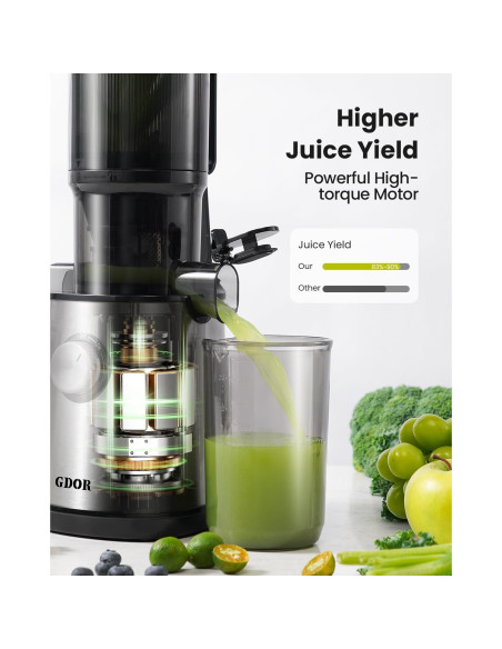 Extractor de Jugo Masticador GDOR SJ060 Plata 1.18 kg 120V Extractor de Jugo Masticador GDOR SJ060 Plata 1.18 kg 120V