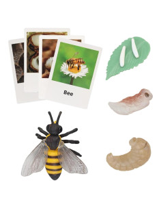 Juego de Emparejamiento de Animales Montessori YiYeraio 12 Piezas