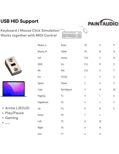 Controlador de pie MIDI Paint Audio Captain DUO USB-MIDI