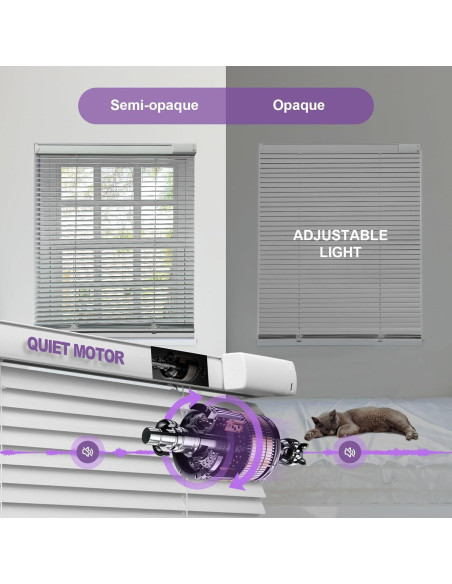 Persianas Motorizadas Hapadif 116.84x162.56cm Control Remoto Persianas Motorizadas Hapadif 116.84x162.56cm Control Remoto