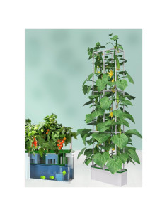 Kit de Cultivo Hidropónico Inteligente eSuperegrow 7L Interior