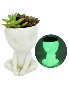 Maceta Alienígena Brillante Qingo para Suculentas 10.9cm