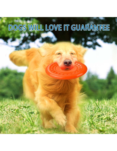 Disco Volador para Perros Aodeng - Caucho Suave 22.86 cm