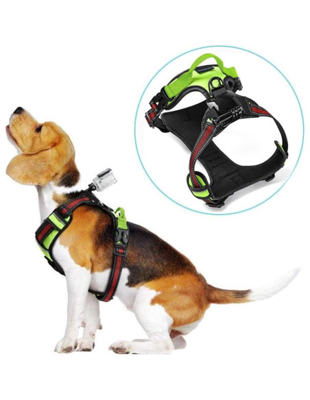 Arnés para Perros SmilePowo Ajustable con Montaje GoPro