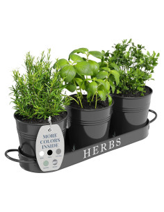 Juego de 3 Macetas de Metal para Hierbas Barnyard Designs Negro